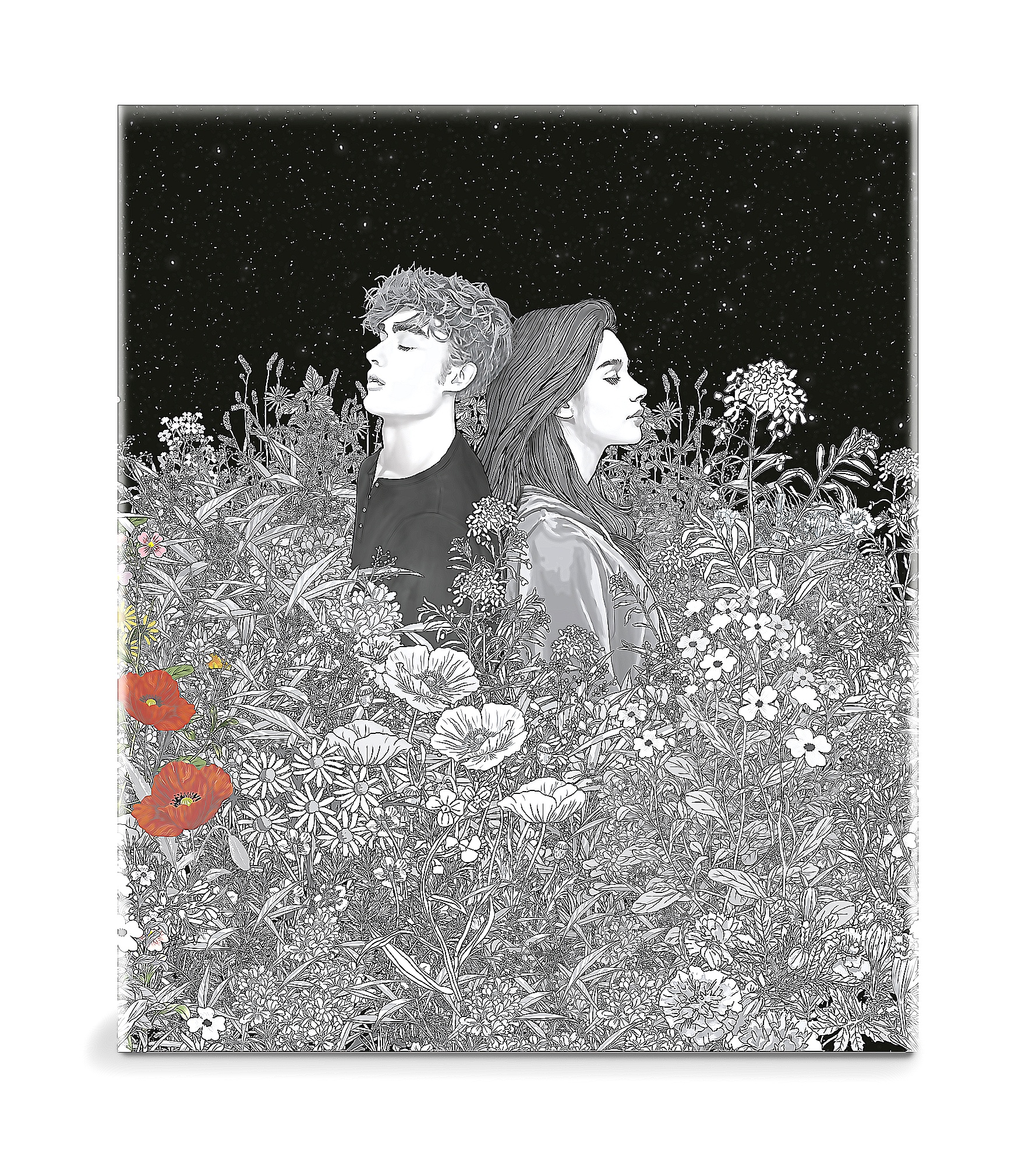 Alfaguara Infantil Juvenil - Libro Estuche Saga Crepúsculo 20 Aniversario - S. Meyer