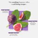 thumbnail image 3 of Perfume Solinotes Eau de Parfum Fig Tree, 50 ml, para mujer, 3 of 7