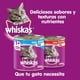 thumbnail image 3 of Pack 6 Latas Whiskas Alimento Húmedo Gato Adulto Sabor Carne, 3 of 3