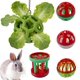 thumbnail image 1 of Bola de premios nsgglecher para conejos – Enriquecimiento – Verde, 1 of 5