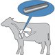 thumbnail image 2 of Cow Magnetics Master Magnetics COW-CP6X4BX Ferrita 15,875 mm, 2 of 3