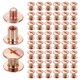 thumbnail image 1 of Uxcell 50set Tornillo Chicago M5 x 6mm 8mm Longitud Metal Phillips Clavo Remache Estudio Tornillo Pernos Remaches Poste de Unión Tornillo para Manualidades de Cuero, Oro Rosa, 1 of 7