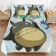 thumbnail image 1 of Totoro Comforter Set3 Pieces Quilt Cover Set Soft Bedding Se for All Seasons, 1 of 5