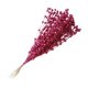 thumbnail image 2 of Falsa Baya Tallos Decoración Simulación Flor Plantas Guirnalda Fiesta Rosa Rojo, 2 of 5