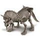 thumbnail image 2 of Dinosaurio Triceraptos Excava, 2 of 3
