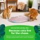 thumbnail image 5 of Juguete electrónico SmartyKat para gatos con varita de movimiento, 5 of 7