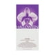 thumbnail image 2 of Perfume J. Del Pozo Halloween EDT en aerosol, 100 ml, para mujer, 2 of 2