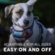 thumbnail image 4 of Arnés Reflectante Ajustable Embark Pets para Perro, 4 of 8