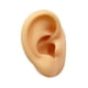 thumbnail image 2 of Modelo De Oreja De Silicona Reutilizable Para Exhibición De Aretes Y Venta De Fotos Oreja Izquierda, 2 of 5