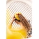 thumbnail image 3 of Bamba Solar Basic, 3 of 3