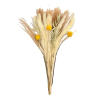 Genérico - Ramo Flores Secas Pampas Y Bolas Doradas