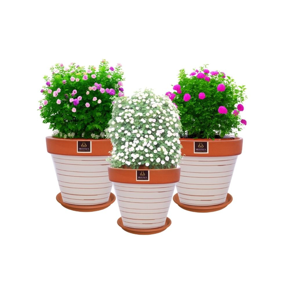 Mestiza - Set De 3 Maceta Kony 19cm Terra Beige Y Sus Platos