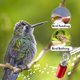 thumbnail image 3 of Llamador de Aves Audubon Rojo 6 cm con Resina, 3 of 7