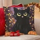 thumbnail image 4 of Black Cat Party Fundas de almohada de terciopelo con tema, regalos de funda de almohada, decoración para el hogar, cojín de lanzar, regalo de cumpleaños para fans y parejas.50*50cm., 4 of 6
