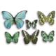 thumbnail image 1 of Mariposa azul troquelada de Embellishments Forever in Time, 32 unidades, 1 of 5
