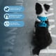 thumbnail image 5 of Arnés Para Perro Voyager Con Correa Doble Turquesa Talla S, 5 of 7