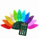 thumbnail image 1 of Luces navideñas para celebraciones, LED platino, C6, 50 quilates, 7,8 m, 1 of 1