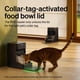 thumbnail image 3 of Comedero Para Gatos Rfid Wi Fi Programable 3 L, 3 of 9