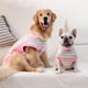 thumbnail image 3 of Traje De Recuperación Para Perro Transpirable Anti Lamido Posquirúrgico, 3 of 7