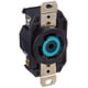 thumbnail image 1 of Receptáculo de bloqueo Leviton 30A 120/208V 3PY de grado industrial, 1 of 5