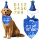 thumbnail image 2 of Blue Dog Birthday Party Supplies with Hat Bandana Numbers, 2 of 3