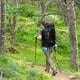 thumbnail image 5 of Mochila de Senderismo 65L Montañismo Impermeable y Liviana, 5 of 6