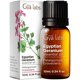 thumbnail image 1 of Aceite Esencial de Geranio Egipcio Gya Labs 10 ml, 1 of 6
