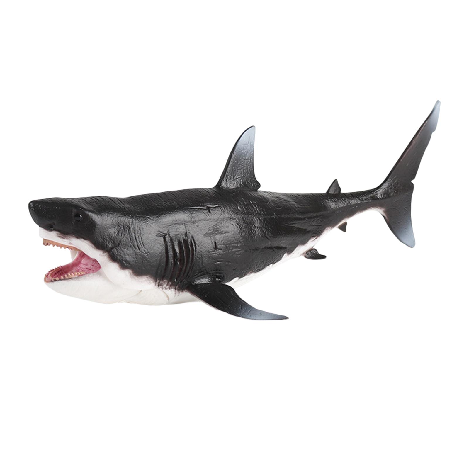 Magideal - Colección De Figuras De Acción De Megalodon, Tiburón Grande, Simulación Educativa De Vida Marina Antigua, Modelo Para Niños Y Niñas, Regalos De