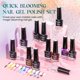 thumbnail image 5 of Esmalte de uñas MIZHSE Marble Ink Gel Blooming 12 colores, 5 of 7