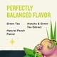 thumbnail image 3 of Té Celestial Seasonings Energy Green con Cafeína 12 Bolsitas x 6, 3 of 6