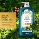 thumbnail image 3 of Acondicionador Herbal Essences Bío:Renew Reparación Aceite de Argán, 865 ml, 3 of 9