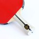 thumbnail image 3 of Raqueta de tenis de mesa Expert 3.0 Palio aprobada por la ITTF con estuche, 3 of 6