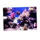 thumbnail image 3 of Póster De Paisaje De Pecera De Acuario 3D, Fondo De Pared De Pecera, 76x56cm, 3 of 5