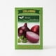 thumbnail image 1 of Semillas de Cebolla Morada Brisol para Huerto, 1 of 2