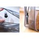 thumbnail image 3 of Set de 5 Neceseres Transparentes con Cierre de PVC Pangda, 3 of 7