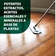 thumbnail image 2 of Limpiador de suelos Simple Green, multisuperficie, 3,78 L, pH neutro, 2 of 7