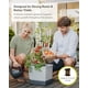 thumbnail image 5 of Plantadora vertical de tomates BUZZY Seeds Tom Tomato con espaldera, 5 of 9
