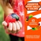 thumbnail image 2 of Pelotas NERF Micro Foam Set 3 Unidades PU Multicolor, 2 of 3