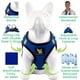 thumbnail image 3 of Arnés para perros EcoBark Step-in, taza de té reflectante, raza XXS, azul, 3 of 9