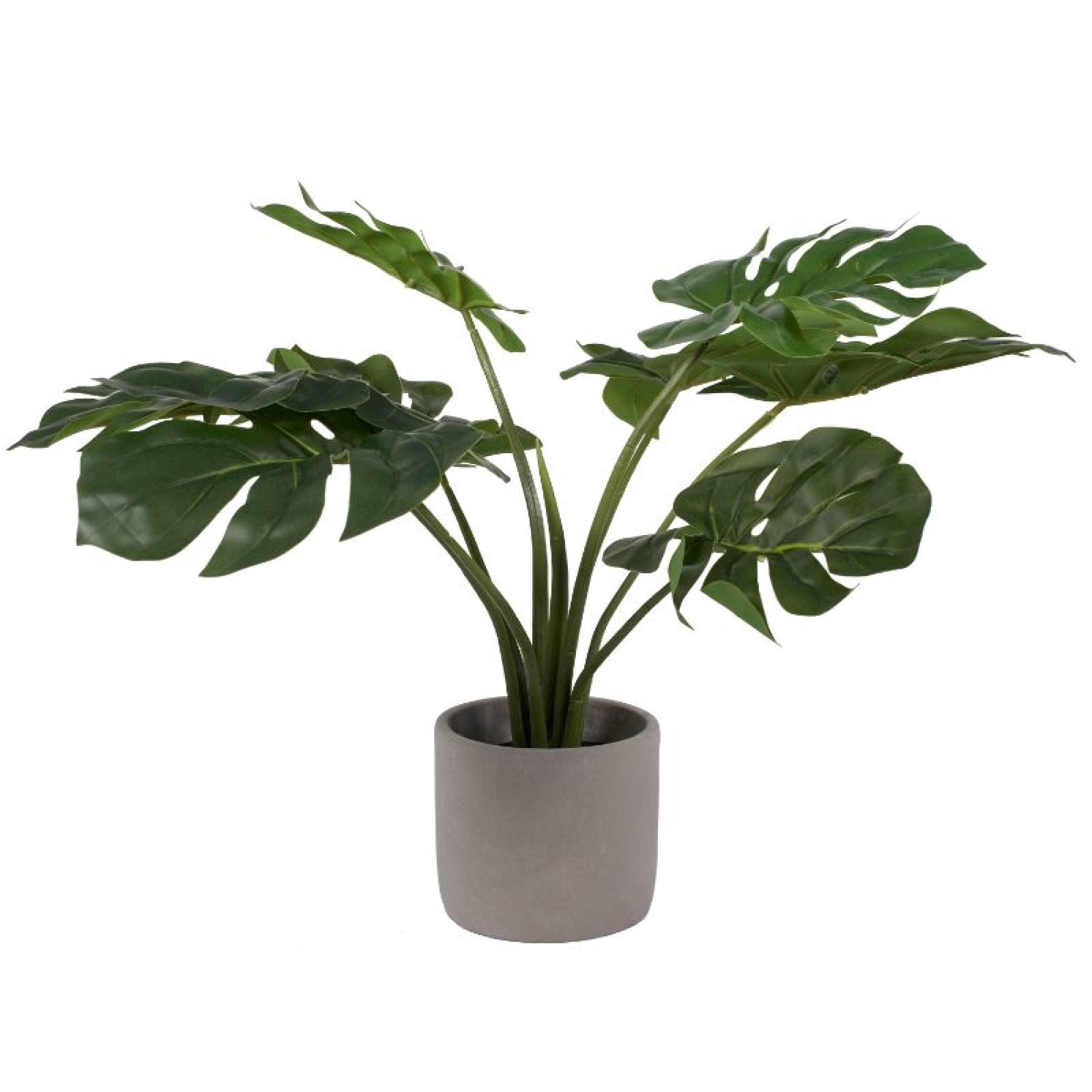 Planta Artificial Monstera en Cemento