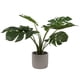 thumbnail image 1 of Planta Artificial Monstera en Cemento, 1 of 1