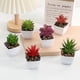 thumbnail image 3 of Plantas Artificiales Suxumhao Suculentas Realistas 4 Pzas, 3 of 4