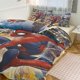 thumbnail image 1 of Spiderman Room Decor Bedding Set with Sheets And Pillow 3 Piece Bedding Super Soft Fade Resistant Microfiber for Boys Girls Kids Twin, 1 of 5