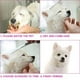 thumbnail image 3 of Kit de tijeras de peluquería canina TINMARDA con puntas redondas de seguridad, 3 of 3