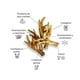 thumbnail image 3 of Garras Patache Patas De Pollo Deshidratadas 100% Natural 8u., 3 of 8