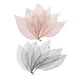 thumbnail image 5 of 100 Piezas De Hojas De Esqueleto De Magnolia Natural, Hojas De Café Negro Para álbumes De Recortes, 5 of 5