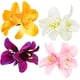 thumbnail image 5 of Horquilla de flores bohemias, pinza para el pelo con flores tropicales artificiales para vacaciones en la playa, accesorio para el cabello de novia, horquilla de orquídea con flor de hibisco hawaiana, 5 of 7