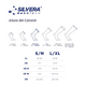 thumbnail image 3 of Calcetines de compresión ligeros deportivos de running ciclismo fútbol vóley para hombre y mujer, 3 of 3