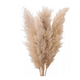 thumbnail image 1 of Pampas grass ramas 5 uds 120 cm decoración, 1 of 3