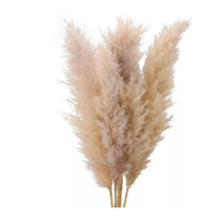 Genérico - Pampas Grass Ramas 5 Uds 120 Cm Decoración
